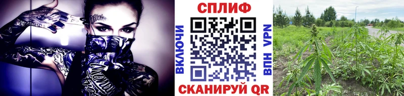 Наркошоп Павловский Посад ГАШ Конопля КОКАИН Меф мяу мяу