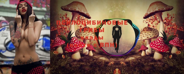 ешки Арсеньев