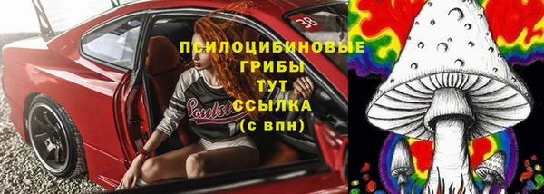 ешки Арсеньев