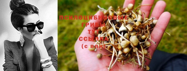 ешки Арсеньев