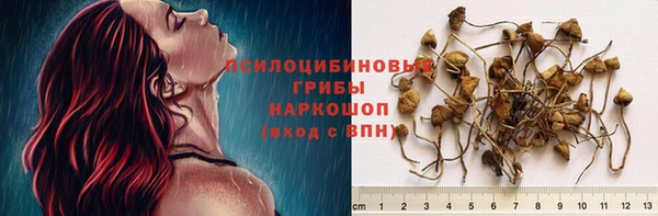 ешки Арсеньев
